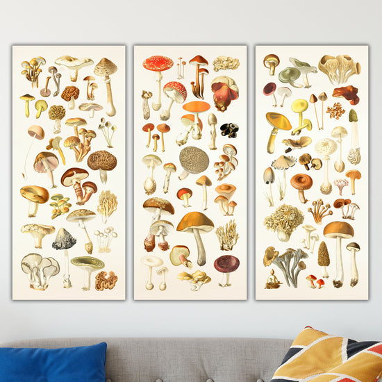 Vintage Mushroom Collages on Canvas
