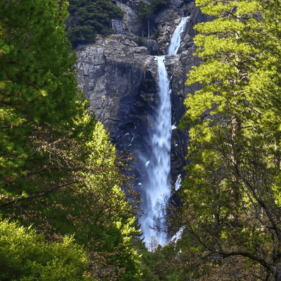 Yosemite Falls Canvas Wall Art - Canvas Wall Art - HolyCowCanvas