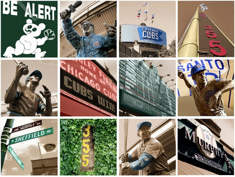 Chicago Cubs Canvas Art Prints - Set of 8 - Canvas Wall Art - HolyCowCanvas