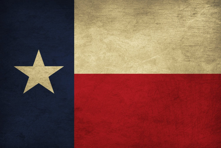 Texas State Flag Canvas Wall Art - Canvas Wall Art - HolyCowCanvas