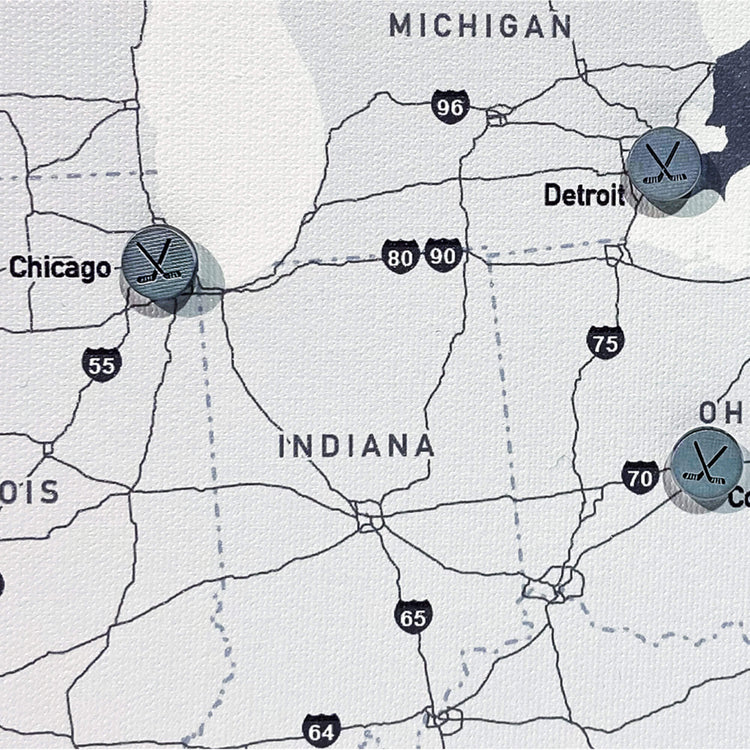 a map with a bunch of pins on it