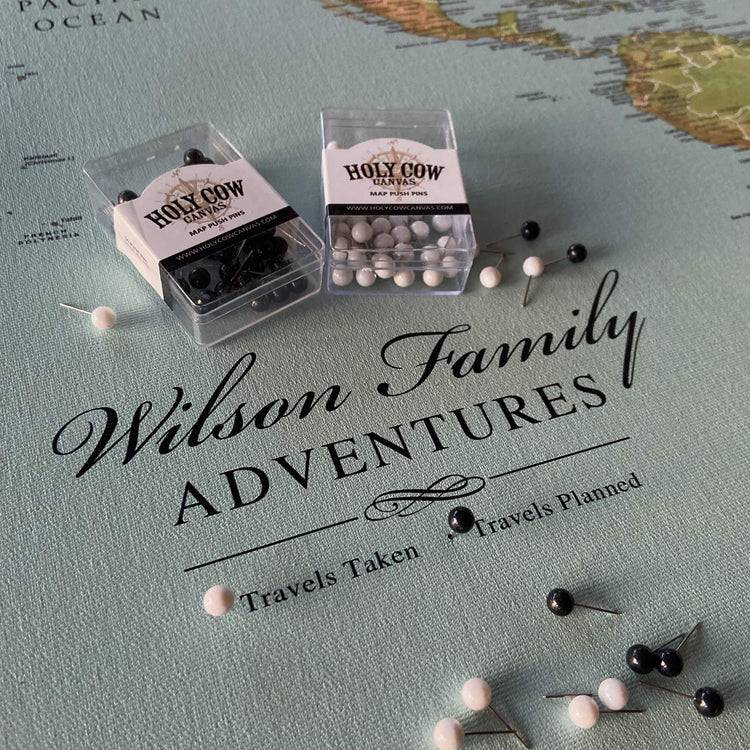 a couple of tiny pins sitting on top of a map