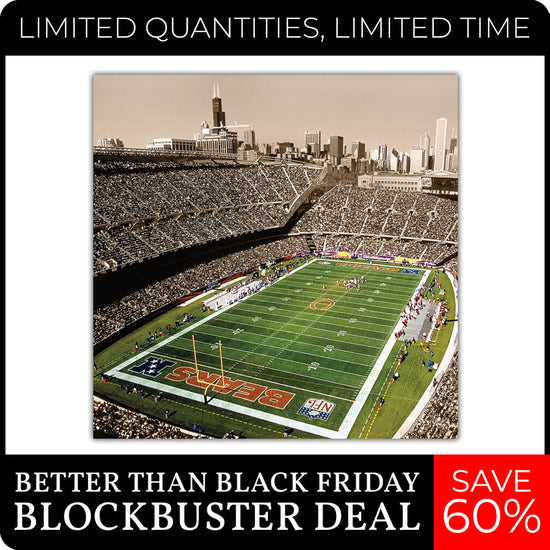 Bears Stadium - 24" x 24"