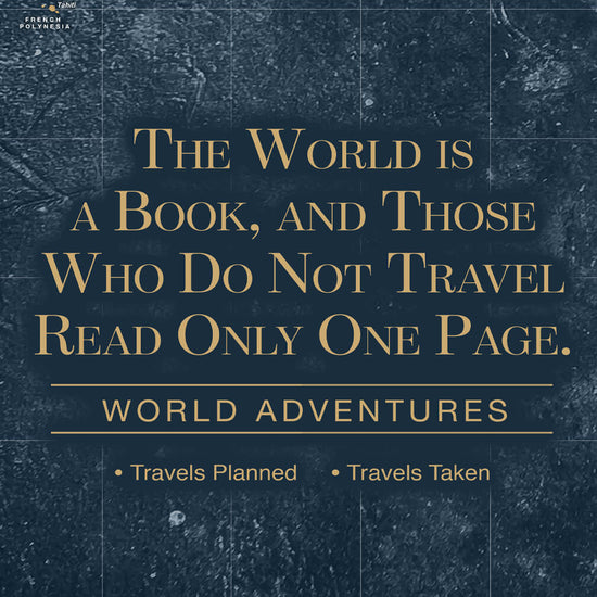 Gold & Navy Textured World Push Pin Map - 20" x 40" set