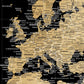 Gold & Black Textured World Push Pin Map - Single Panel
