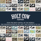 Big 12 College Football Stadium Tour Map - Single Panel
