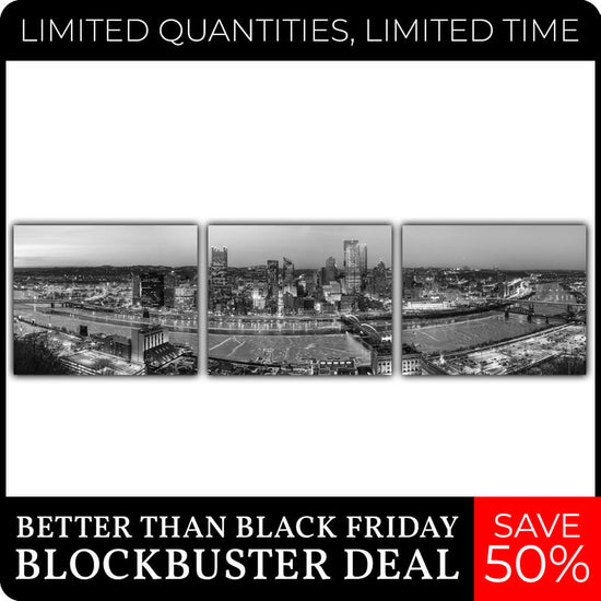 Pittsburgh Skyline Black & White Canvas - 20" x 16" set of 3