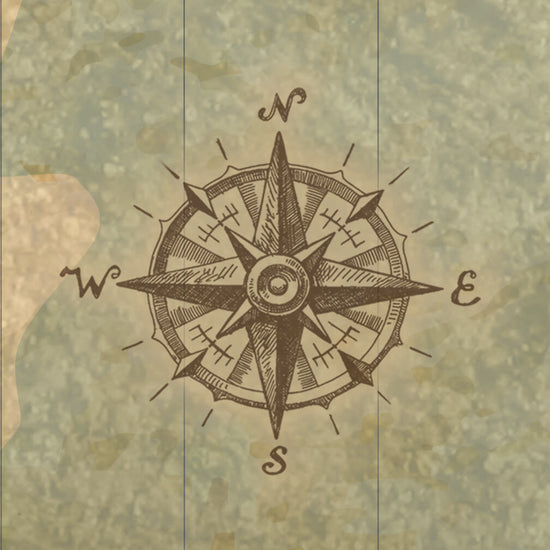 Push Pin World Travel Map - 24" x 48" set