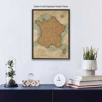 a framed map of France hanging on a wall, with a glass dome containing a plant and a stack of books below it.