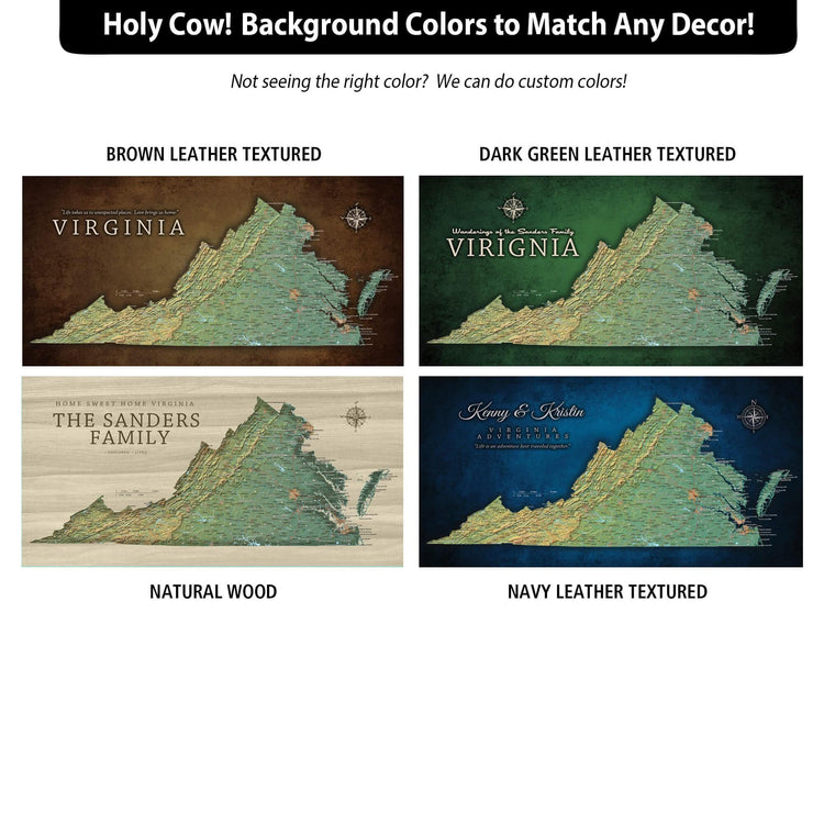 a map of the state of virginia with four different colors