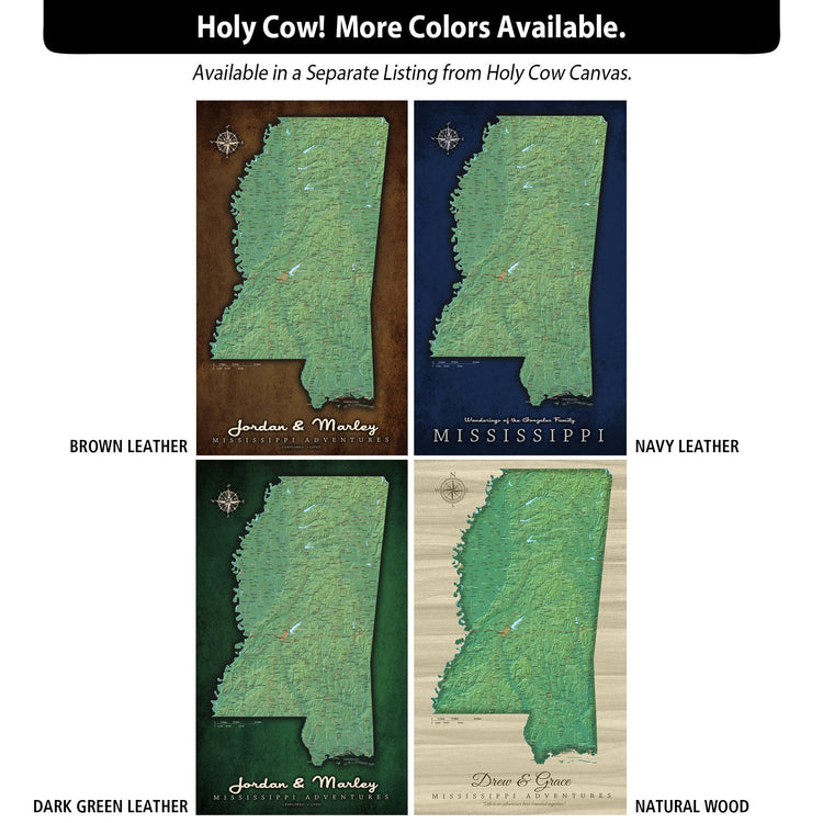 a map of the state of mississippi