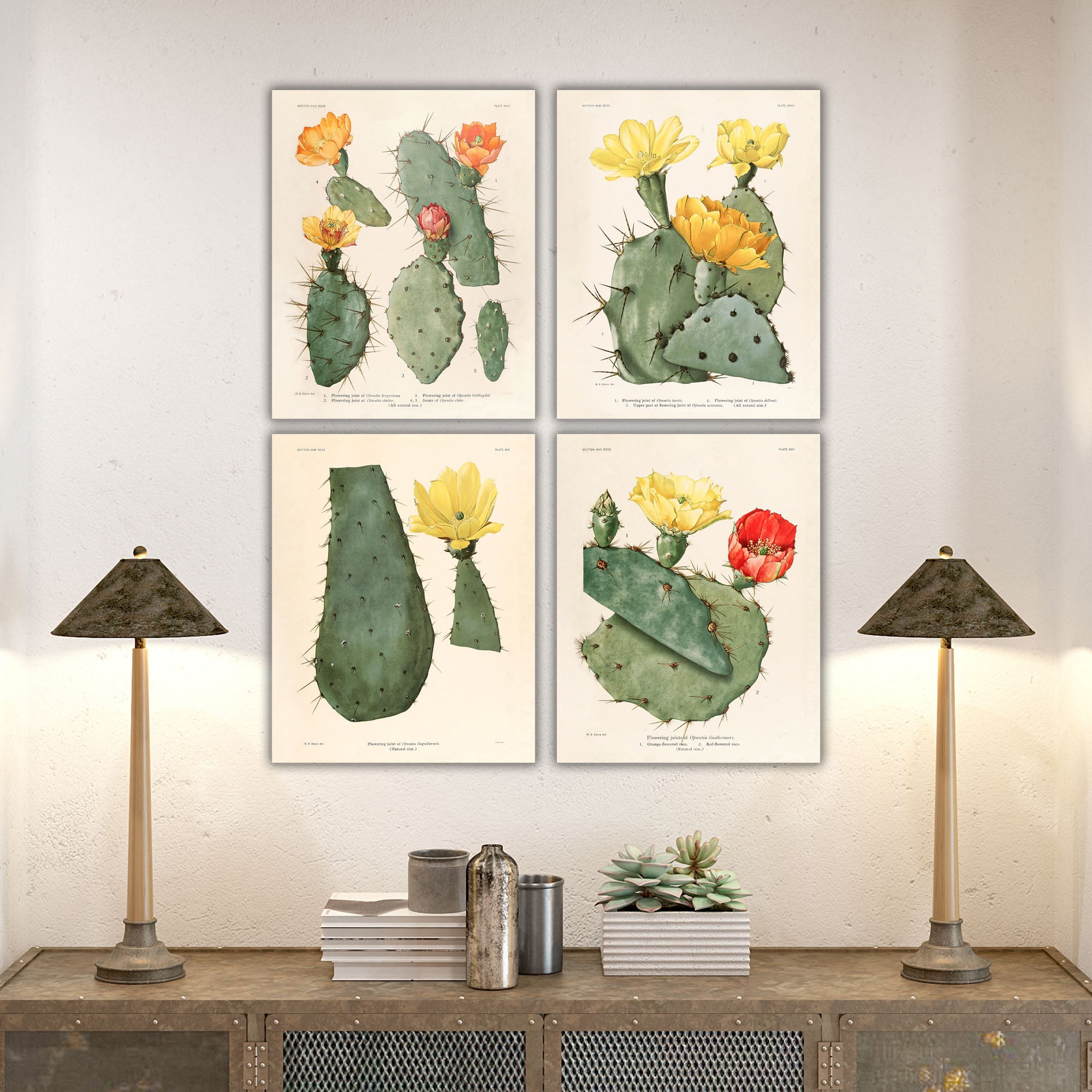 Vintage Cactus Watercolor Prints on Canvas, Set of 5 Gallery Wrapped Canvas / 11