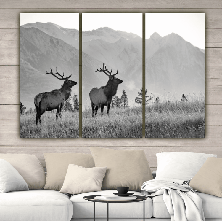 Rocky Mountain Elk Canvas Wall Art - Canvas Wall Art - HolyCowCanvas