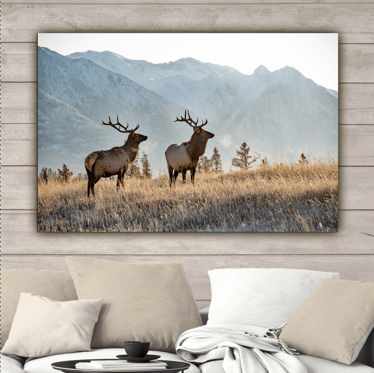 Rocky Mountain Elk Canvas Wall Art - Canvas Wall Art - HolyCowCanvas