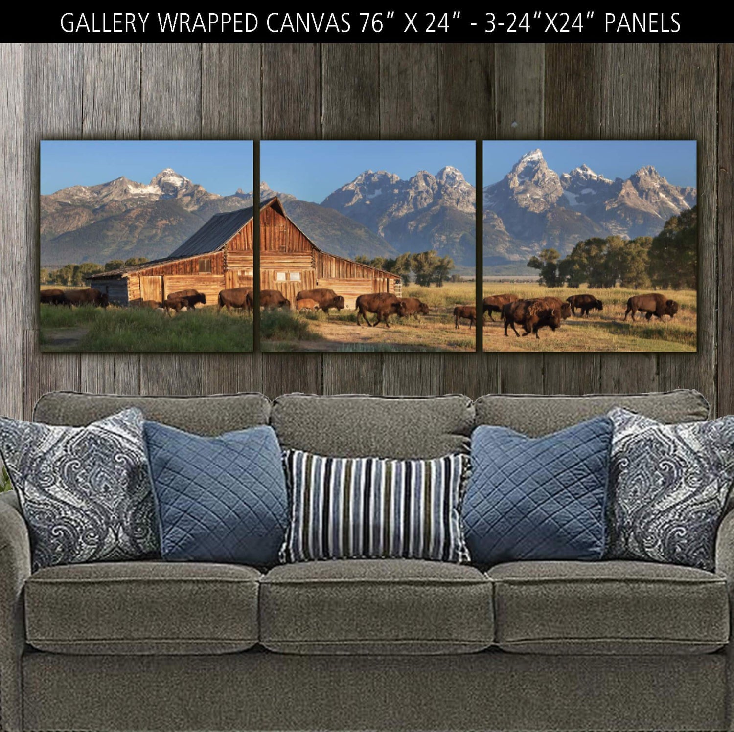 Buffalo at Grand Teton National Park - Canvas Wall Art - HolyCowCanvas
