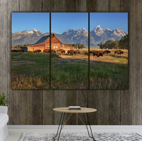 Buffalo at Grand Teton National Park - Canvas Wall Art - HolyCowCanvas