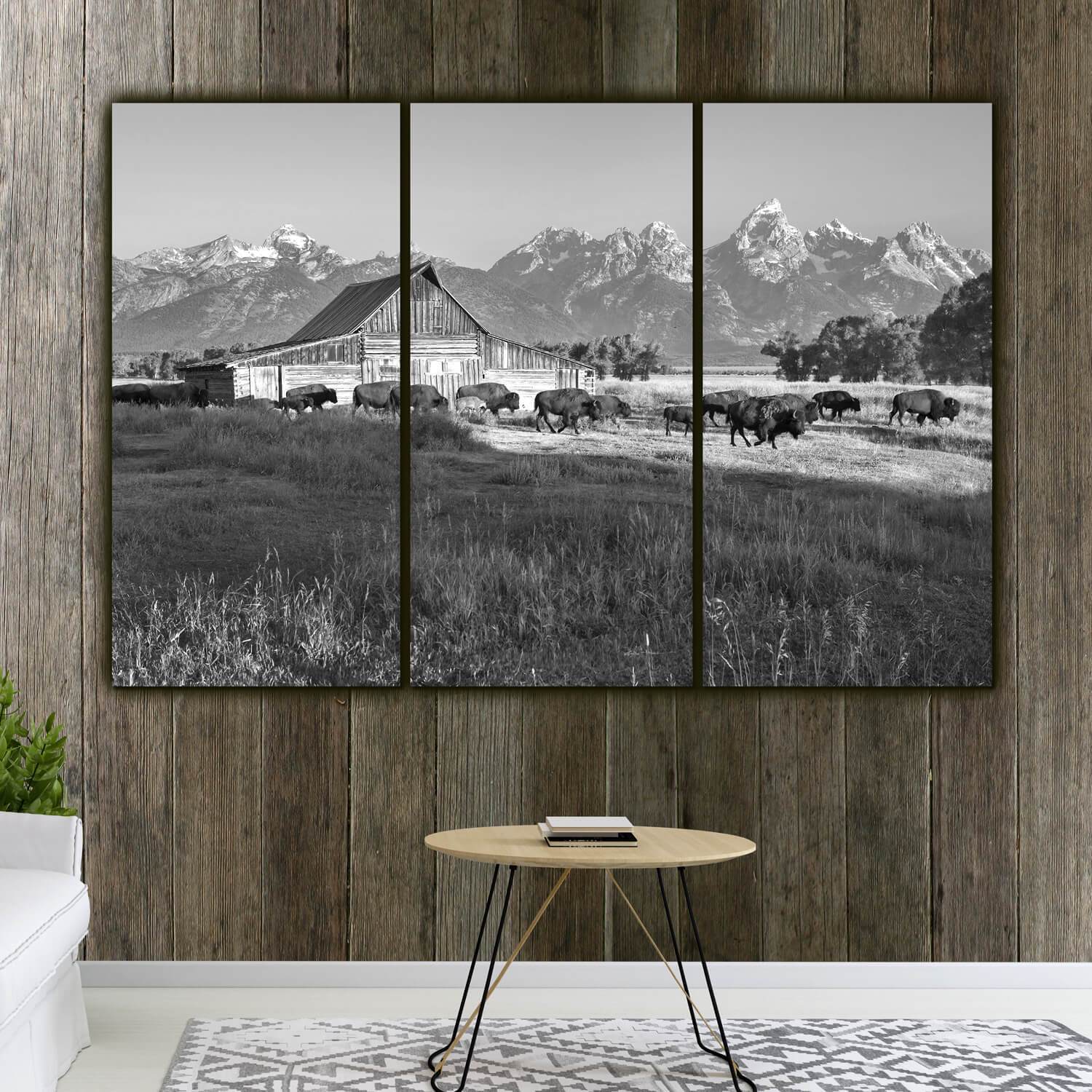 Buffalo at Grand Teton National Park - Canvas Wall Art - HolyCowCanvas