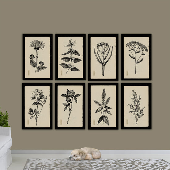 Vintage Botanical Herbs on Creme Background