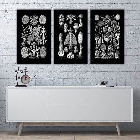 Botanical Mushroom Wall Art in Black & White