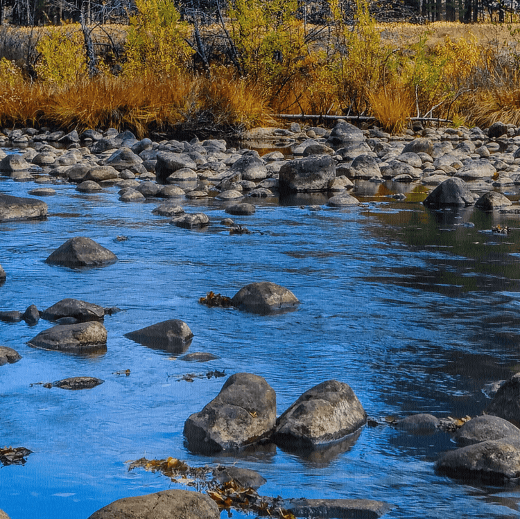 Yosemite Gates of the Valley Wall Art - Canvas Wall Art - HolyCowCanvas