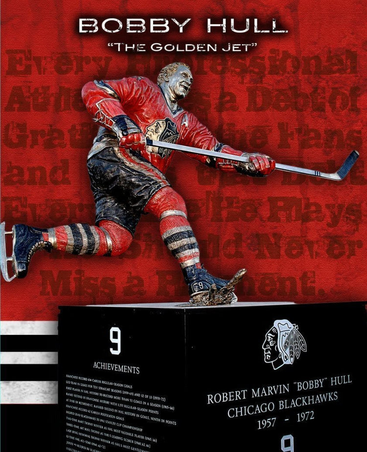 Chicago Blackhawks Single Print - Canvas Wall Art - HolyCowCanvas