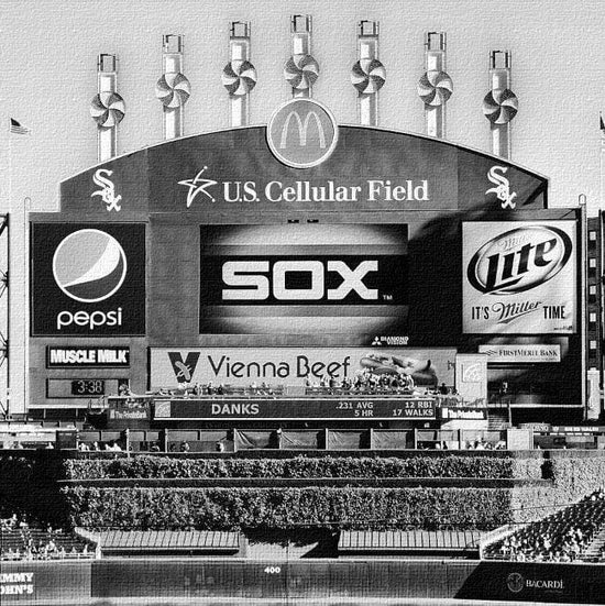 White Sox U.S. Cellular Field Canvas Art - Canvas Wall Art - HolyCowCanvas