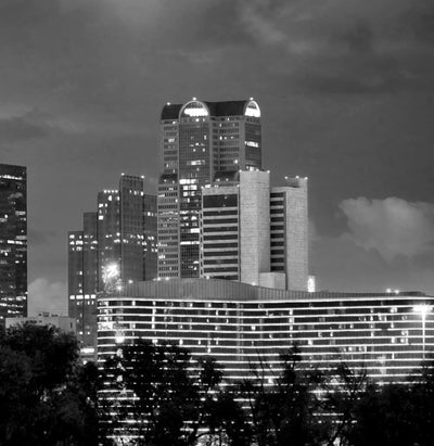 Dallas Skyline Black & White Canvas Art - Canvas Wall Art - HolyCowCanvas