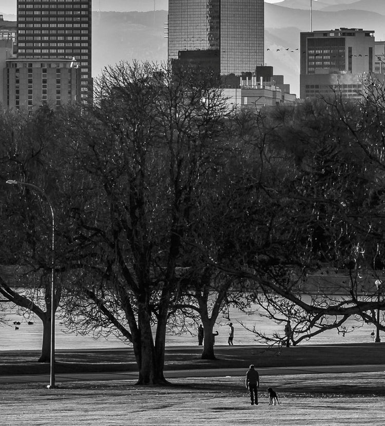 Denver Skyline Black & White Canvas Art - Canvas Wall Art - HolyCowCanvas