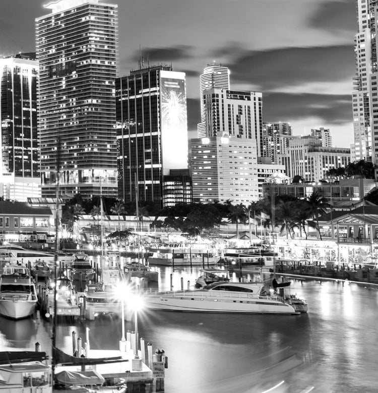 Miami Skyline Black & White Canvas Wall Art - Canvas Wall Art - HolyCowCanvas