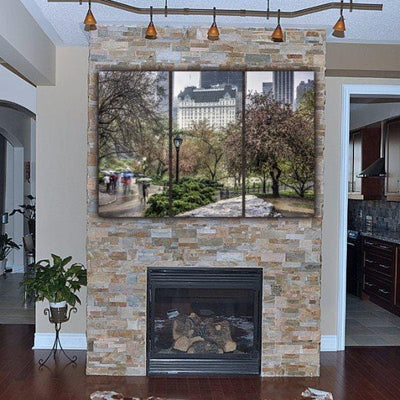 Central Park Canvas Wall Art - NYC - Canvas Wall Art - HolyCowCanvas